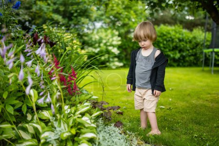 Photo for Adorable toddler boy having fun outdoors on sunny summer day. Child exploring nature. Summer activities for small kids. - Royalty Free Image