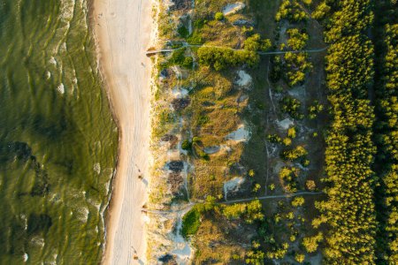 Téléchargez les photos : Vue aérienne du littoral de la mer Baltique près de la ville de Klaipeda, en Lituanie. Belle côte de mer sur une journée d'été ensoleillée. - en image libre de droit