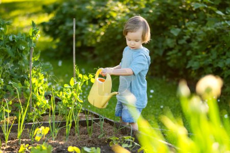 Photo for Cute blond little toddler watering plants using watering pot outdoors in the garden. Kid helping parents with gardening in the backyard in bright sunny summer day. - Royalty Free Image