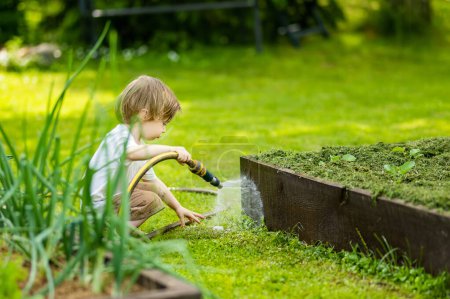 Photo for Cute toddler boy watering flower beds in the garden at summer day. Child using garden hose to water vegetables. Kid helping with everyday chores. Mommys little helper. - Royalty Free Image