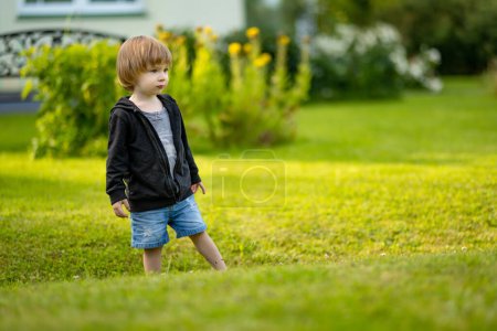 Photo for Adorable toddler boy having fun outdoors on sunny summer day. Child exploring nature. Summer activities for small kids. - Royalty Free Image