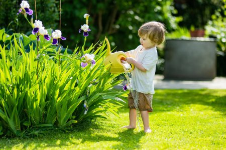Téléchargez les photos : Mignon blond petit bambin arrosage des plantes à l'aide d'arrosoir à l'extérieur dans le jardin. Enfant aider les parents avec le jardinage dans la cour arrière dans une journée d'été ensoleillée brillante. - en image libre de droit