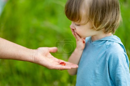 Photo for Cute toddler boy eating fresh wild strawberries on sunny summer day. Kid having fun on a forest walk. - Royalty Free Image