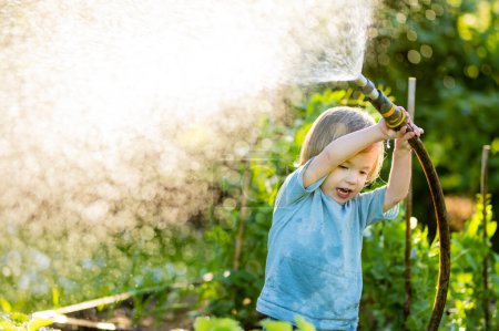 Téléchargez les photos : Cute toddler boy watering flower beds in the garden at summer day. Child using garden hose to water vegetables. Kid helping with everyday chores. Mommys little helper. - en image libre de droit