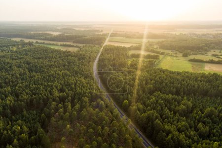 Téléchargez les photos : Aerial top down view of summer forest with two-lane road among pine trees. Beautiful summer scenery near Vilnius city, Lithuania - en image libre de droit