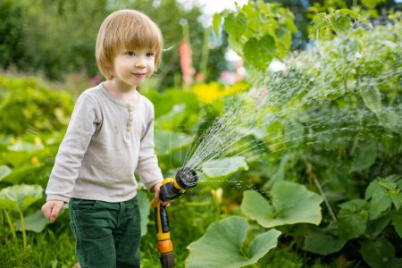 Photo for Cute toddler boy watering flower beds in the garden at summer day. Child using garden hose to water vegetables. Kid helping with everyday chores. Mommys little helper. - Royalty Free Image