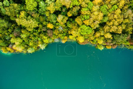 Foto de Vista aérea del hermoso lago Balsys, uno de los seis Lagos Verdes, ubicado en el Parque Regional de Verkiai. Vista panorámica de aves del lago esmeralda rodeado de bosques de pinos. Vilna, Lituania. - Imagen libre de derechos