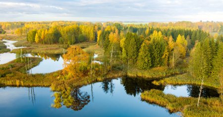Téléchargez les photos : Vue aérienne imprenable sur les lacs karstiques de Kirkilai dans la matinée ensoleillée d'automne, Birzai Eldership, comté de Panevezys, Lituanie - en image libre de droit