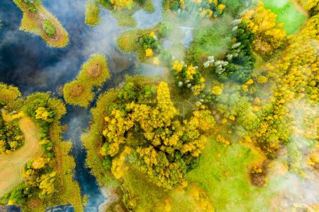 Foto de Increíble vista aérea hacia abajo de los lagos kársticos de Kirkilai en la soleada y brillante mañana de otoño, en Birzai, condado de Panevezys, Lituania - Imagen libre de derechos