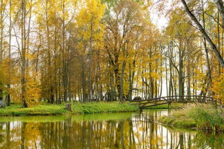 Foto de Colorida escena del parque de la ciudad en el otoño con follaje naranja y amarillo. Hermoso paisaje otoñal en Birzai, Lituania - Imagen libre de derechos