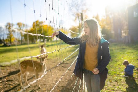 Téléchargez les photos : Adolescente nourrissant des cerfs sauvages dans un zoo le jour de l'automne. Des enfants regardent des rennes dans une ferme. Les enfants s'amusent au jardin zoologique. - en image libre de droit