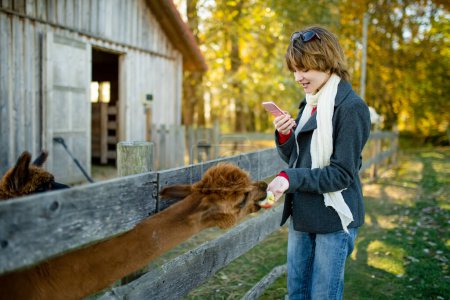 Téléchargez les photos : Jolie jeune fille caressant un alpaga dans un zoo de la ferme le jour de l'automne. Un enfant nourrit un lama dans une ferme animale. Un gamin dans un zoo à l'automne. Loisirs actifs enfants extérieur. - en image libre de droit