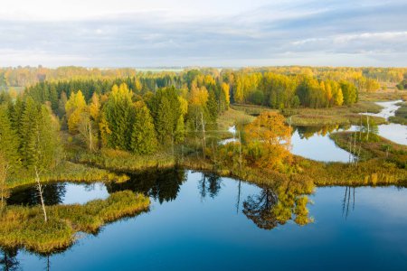 Foto de Increíble vista aérea de los lagos kársticos de Kirkilai en la soleada y brillante mañana de otoño, en Birzai, condado de Panevezys, Lituania - Imagen libre de derechos