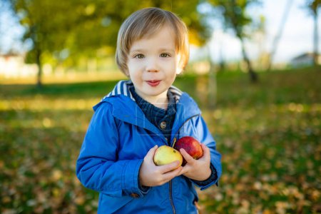 Photo for Funny toddler boy having fun outdoors on sunny autumn day. Child exploring nature. Kid playing in a city park. Autumn activities for small kids. - Royalty Free Image