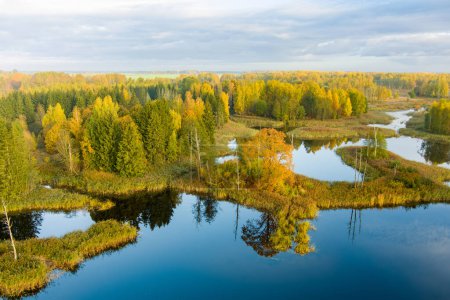 Foto de Increíble vista aérea de los lagos kársticos de Kirkilai en la soleada y brillante mañana de otoño, en Birzai, condado de Panevezys, Lituania - Imagen libre de derechos