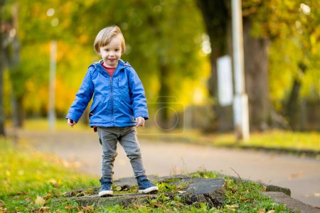 Téléchargez les photos : Drôle tout-petit garçon avoir amusant à l'extérieur sur ensoleillé jour d'automne. Enfant explorant la nature. Il joue dans un parc de la ville. Activités d'automne pour les petits enfants. - en image libre de droit