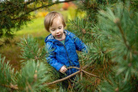 Photo for Funny toddler boy having fun outdoors on sunny autumn day. Child exploring nature. Kid playing in a city park. Autumn activities for small kids. - Royalty Free Image
