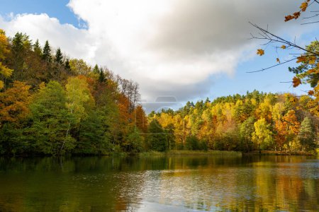 Téléchargez les photos : Beau lac Balsys, l'un des six lacs verts, situé dans le parc régional de Verkiai. Vue des oiseaux sur le lac émeraude pittoresque entouré de forêts de pins. Vilnius, Lituanie. - en image libre de droit