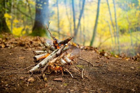 Photo for Forest bonfire. Having fun at a camp site with family and friends. Fun activities in autumn. - Royalty Free Image