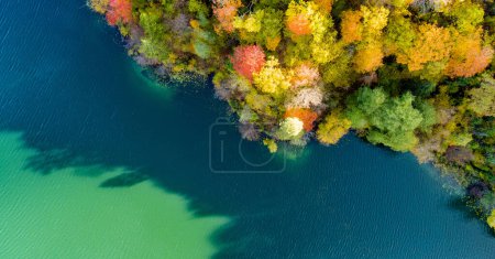 Foto de Vista aérea del hermoso lago Balsys, uno de los seis Lagos Verdes, ubicado en el Parque Regional de Verkiai. Vista panorámica de aves del lago esmeralda rodeado de bosques de pinos. Vilna, Lituania. - Imagen libre de derechos