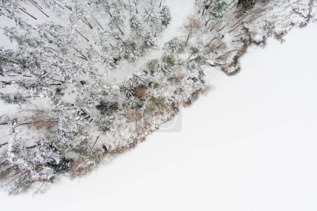 Téléchargez les photos : Belle vue aérienne du haut vers le bas des forêts de pins enneigées et d'un ruisseau forestier serpentant entre les arbres. Glace rime et gelée blanche recouvrant les arbres. Paysage hivernal pittoresque près de Vilnius, Lituanie. - en image libre de droit