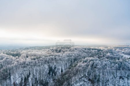 Téléchargez les photos : Belle vue aérienne sur les forêts de pins enneigées. Glace rime et gelée blanche recouvrant les arbres. Paysage hivernal pittoresque. - en image libre de droit