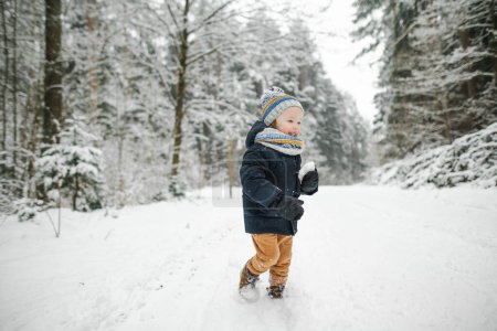 Téléchargez les photos : Petit garçon mignon s'amusant lors d'une promenade dans la forêt de pins enneigée par une journée d'hiver fraîche. Enfant explorant la nature. Activités hivernales pour petits enfants. - en image libre de droit