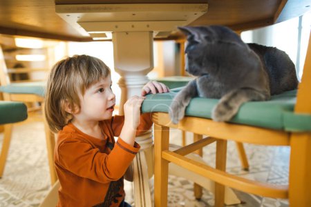 Téléchargez les photos : Mignon tout-petit garçon caressant amical russe bleu chat de race sous la table. Enfant drôle et son animal de compagnie à la maison. - en image libre de droit