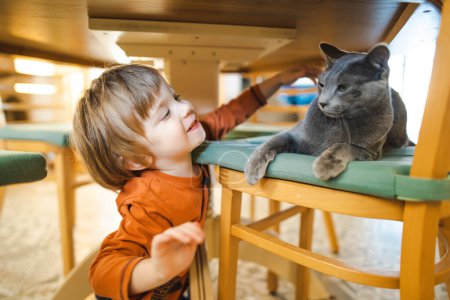 Photo for Cute toddler boy stroking friendly Russian Blue purebred cat under the table. Funny child and his pet at home. - Royalty Free Image