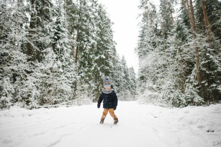 Téléchargez les photos : Petit garçon mignon s'amusant lors d'une promenade dans la forêt de pins enneigée par une journée d'hiver fraîche. Enfant explorant la nature. Activités hivernales pour petits enfants. - en image libre de droit