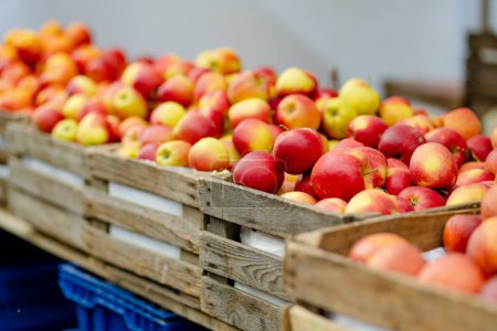 Manzanas rojas y amarillas frescas en cajas de madera vendidas en el mercado de alimentos de los agricultores durante la feria anual de primavera en Vilna, Lituania
