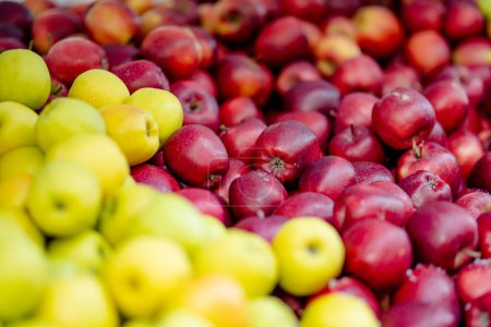 Foto de Manzanas rojas y amarillas frescas en cajas de madera vendidas en el mercado de alimentos de los agricultores durante la feria anual de primavera en Vilna, Lituania - Imagen libre de derechos