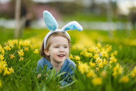 Téléchargez les photos : Mignon tout-petit garçon portant des oreilles de lapin s'amusant entre les rangées de belles jonquilles jaunes fleurissant le jour du printemps. Célébrons Pâques à l'extérieur. Chasse aux œufs. - en image libre de droit