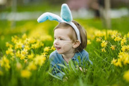 Foto de Lindo niño pequeño con orejas de conejo que se divierten entre filas de hermosos narcisos amarillos que florecen en el día de primavera. Celebrando la Pascua al aire libre. Caza de huevos. - Imagen libre de derechos
