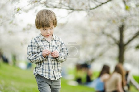 Téléchargez les photos : Petit garçon mignon jouant dans le jardin de cerisier en fleurs sur la belle journée de printemps. Adorable bébé qui s'amuse à l'extérieur. Enfant explorant la nature. - en image libre de droit