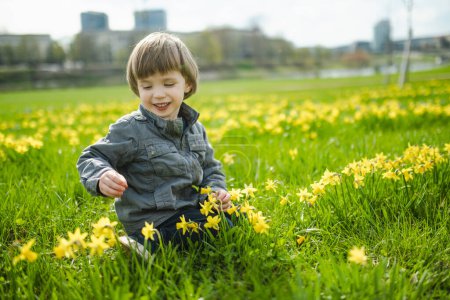 Téléchargez les photos : Mignon tout-petit garçon s'amusant entre les rangées de belles jonquilles jaunes fleurissant le jour du printemps. Narcissi floraison à Vilnius, Lituanie. - en image libre de droit