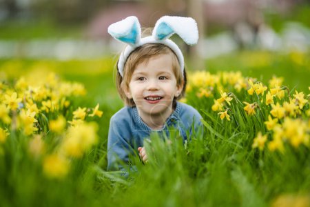 Téléchargez les photos : Mignon tout-petit garçon portant des oreilles de lapin s'amusant entre les rangées de belles jonquilles jaunes fleurissant le jour du printemps. Célébrons Pâques à l'extérieur. Chasse aux œufs. - en image libre de droit