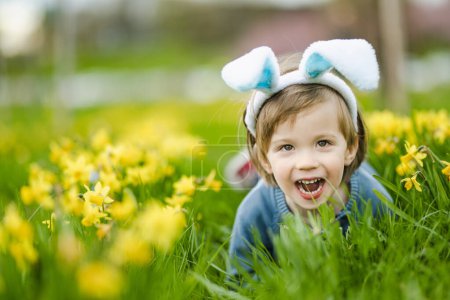 Foto de Lindo niño pequeño con orejas de conejo que se divierten entre filas de hermosos narcisos amarillos que florecen en el día de primavera. Celebrando la Pascua al aire libre. Caza de huevos. - Imagen libre de derechos