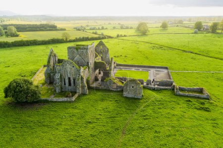 Téléchargez les photos : Abbaye de Hore, monastère cistercien en ruine près du Rocher de Cashel, comté de Tipperary, Irlande - en image libre de droit