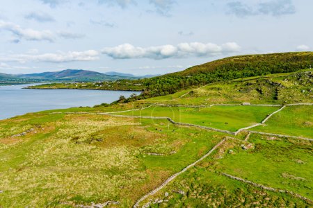Téléchargez les photos : Vue aérienne des pâturages luxuriants et des terres agricoles d'Irlande. Belle campagne irlandaise avec des champs verts émeraude et des prairies. Paysage rural
. - en image libre de droit