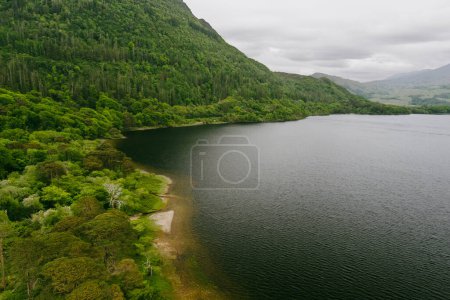 Photo for Aerial view of beautiful large pine trees on a banks of Muckross Lake, also called Middle Lake or The Torc, located in Killarney National Park, County Kerry, Ireland - Royalty Free Image