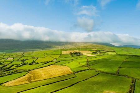 Téléchargez les photos : Vue aérienne d'innombrables pâturages luxuriants et terres agricoles de la péninsule de Dingle en Irlande. Belle campagne irlandaise avec des champs verts émeraude et des prairies. Paysage rural au coucher du soleil. - en image libre de droit