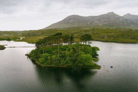 Foto de Vista aérea de la isla de los Doce Pinos, de pie sobre un magnífico fondo formado por los picos afilados de una cordillera llamada Doce Pines o Doce Bens, Connemara, Condado de Galway, Irlanda - Imagen libre de derechos