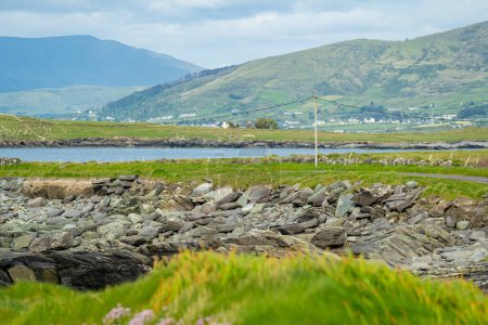 Foto de Orilla áspera y rocosa a lo largo de la famosa ruta Ring of Kerry. Rugged coast of on Iveragh Peninsula, County Kerry, Irlanda
. - Imagen libre de derechos