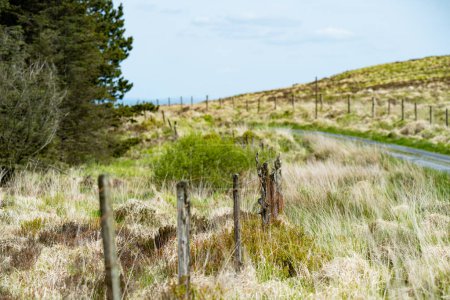 Téléchargez les photos : Pâturages et terres agricoles typiques d'Irlande. Belle campagne irlandaise avec des champs verts émeraude et des prairies. Paysage rural. - en image libre de droit