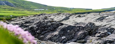 Téléchargez les photos : Rivage rugueux et rocheux le long de la célèbre route Ring of Kerry. Côte accidentée de la péninsule d'Iveragh, comté de Kerry, Irlande
. - en image libre de droit