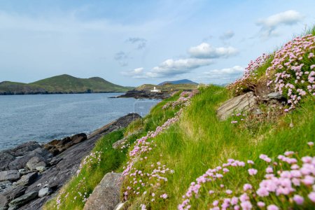 Schöne Aussicht auf den Leuchtturm der Insel Valentia am Cromwell Point. Orte, die auf dem wilden atlantischen Weg einen Besuch wert sind. landschaftlich reizvolle irische Landschaft an sonnigen Sommertagen, county kerry, irland.