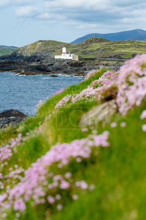 Schöne Aussicht auf den Leuchtturm der Insel Valentia am Cromwell Point. Orte, die auf dem wilden atlantischen Weg einen Besuch wert sind. landschaftlich reizvolle irische Landschaft an sonnigen Sommertagen, county kerry, irland.