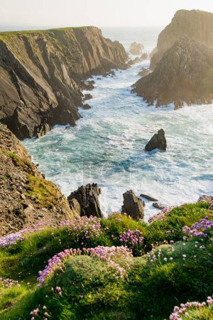 Téléchargez les photos : Scheilkids, paysage le plus emblématique et photographié de Malin Head, point le plus au nord de l'Irlande, Wild Atlantic Way, route côtière spectaculaire. Merveilles de la nature. De nombreux points de découverte. Co. Donegal - en image libre de droit