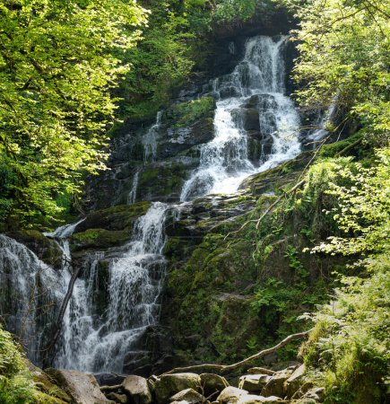 Foto de Torc Waterfall, una de las atracciones turísticas más conocidas de Irlanda, se encuentra en el pintoresco bosque del Parque Nacional de Killarney. Punto de parada de la famosa ruta turística Ring of Kerry, Irlanda
. - Imagen libre de derechos